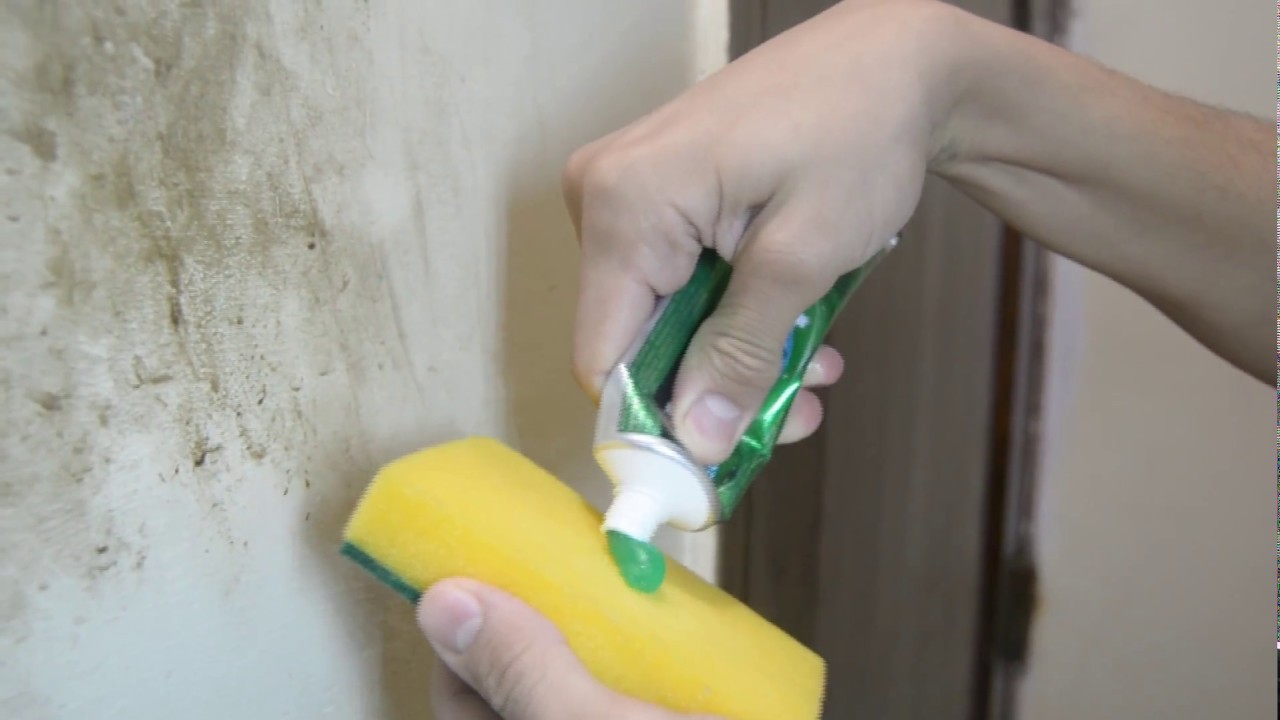 Dirty Wall Cleaning & Washing Melbourne