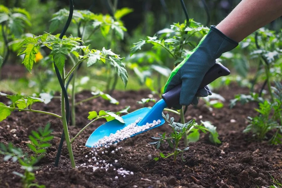 Fertilising & Soil Conditioning Melbourne
