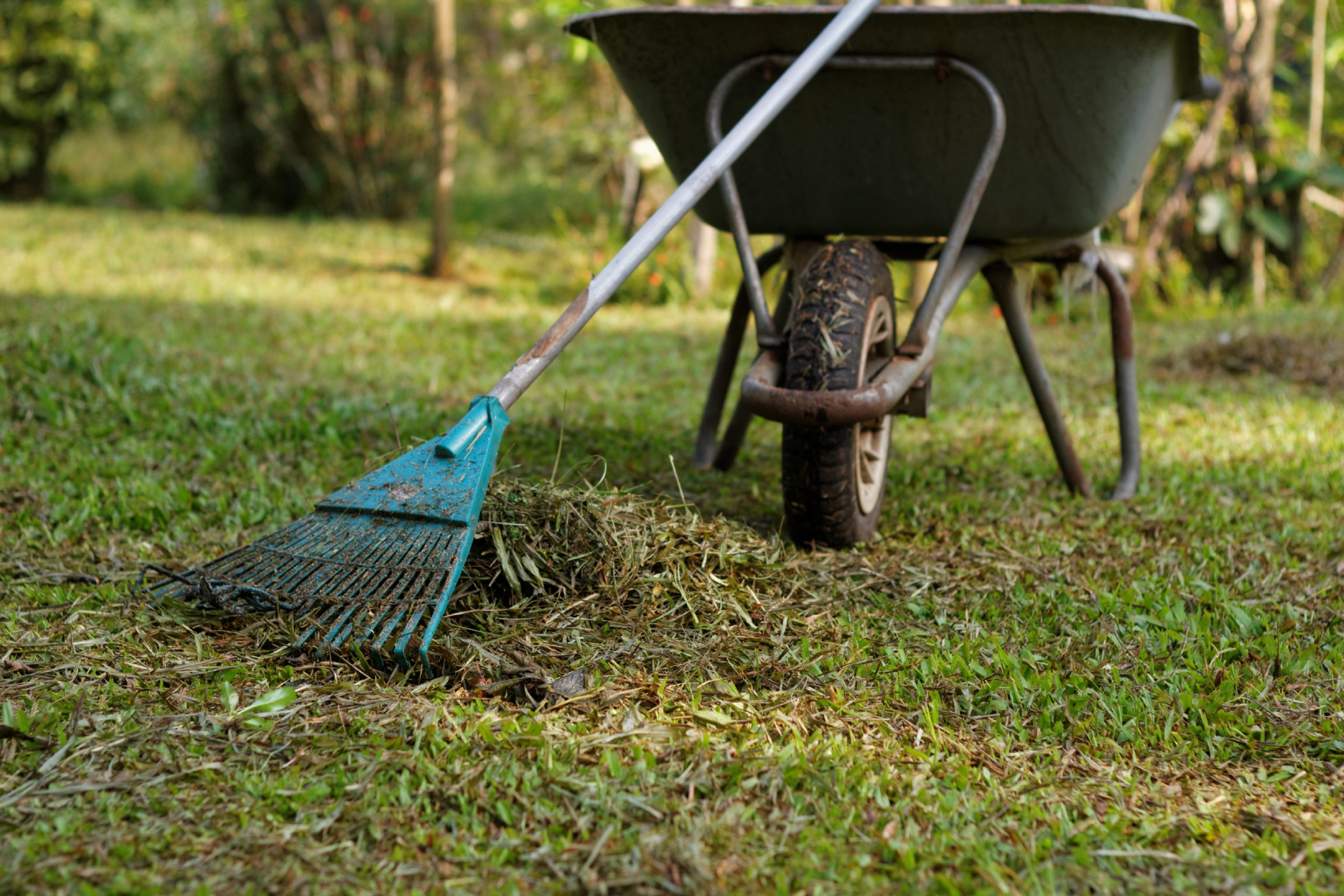 Garden Cleanups Melbourne