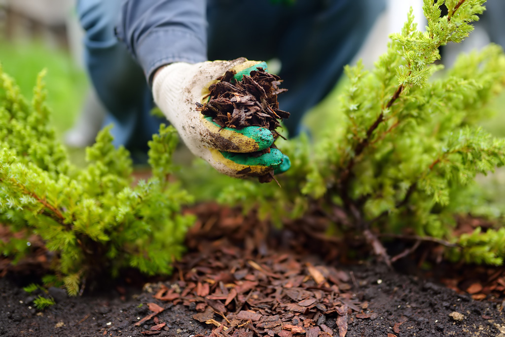 Mulching Melbourne
