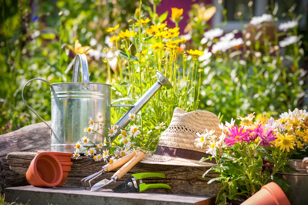 Seasonal Planting Melbourne