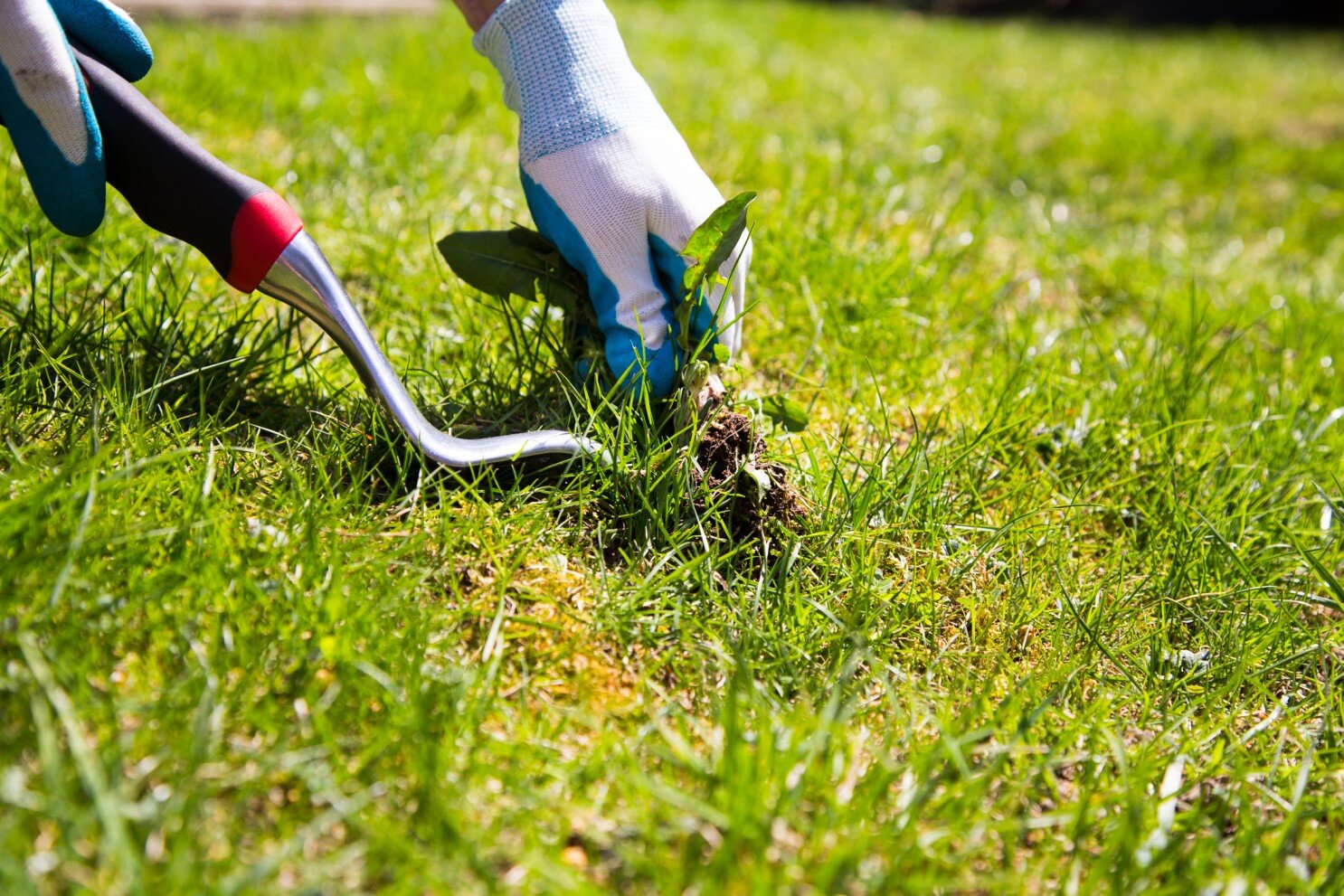 Weed Spraying & Removal Melbourne